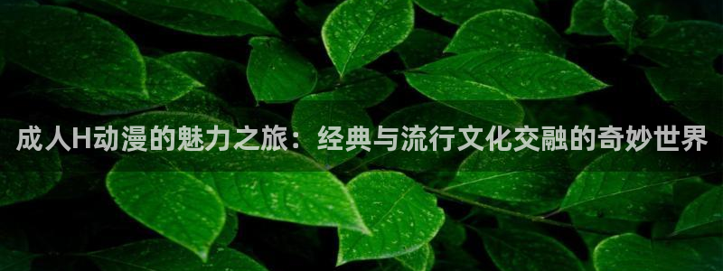 风车动漫在线观看动漫的注意事项