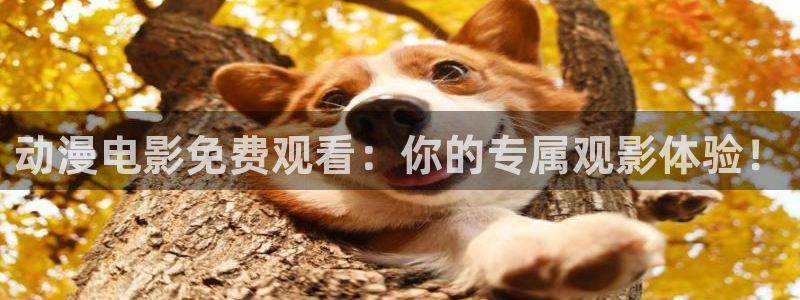 为美好的世界献上祝福风车动漫