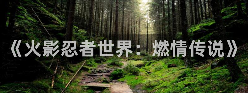 风车动漫网动漫在线