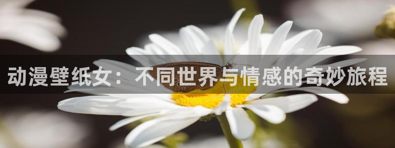 风车动漫网在线动漫观看