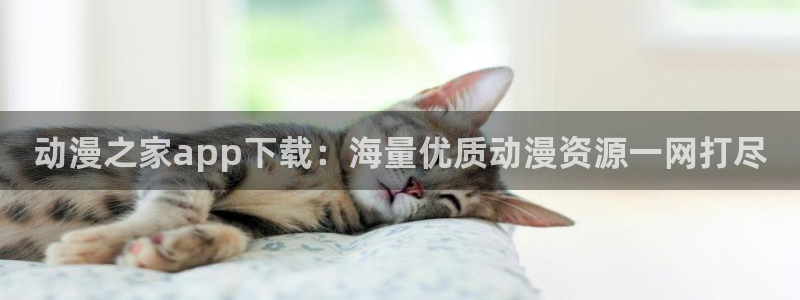 樱花风车动漫专注动漫的门户