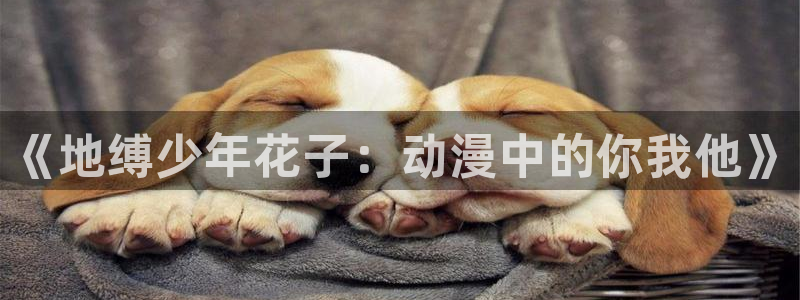 怎么下载风车动漫