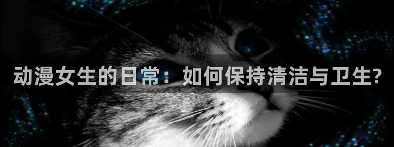 风车风车动漫动漫