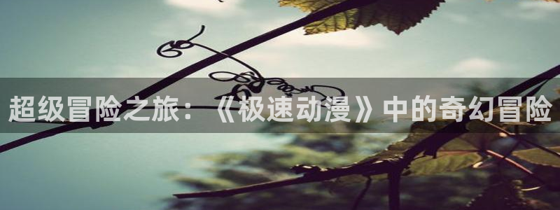 风车动漫专注门户官网