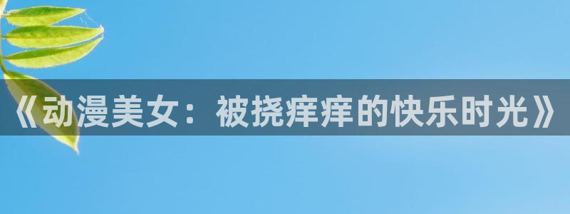 风车动漫专注动漫的门户官网