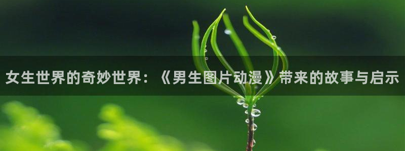 风车动漫下载免费版