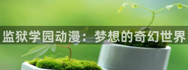 风车动漫dm530官网