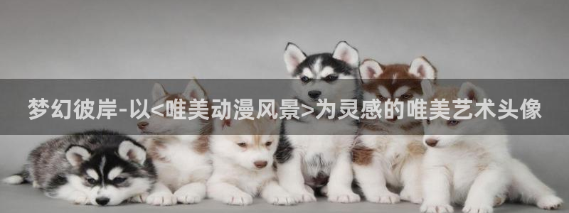 风车动漫(p)_在线看