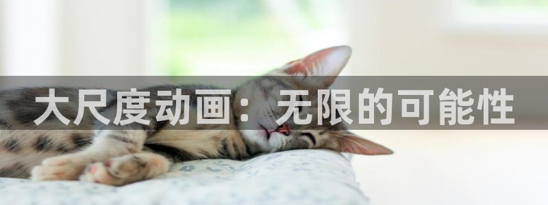 风车动漫最新动漫
