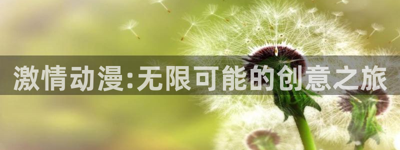 风车动漫免费观看动漫