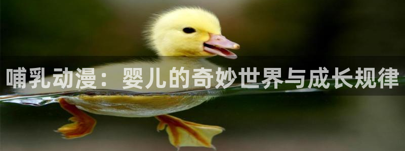 铅笔动画风车动漫