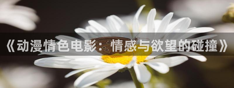 overflow风车动漫6