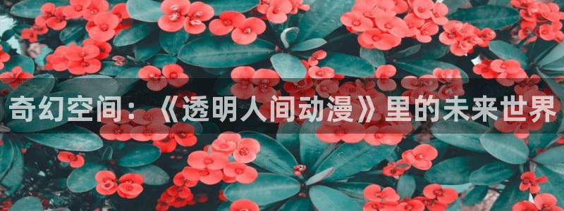樱花风车动漫专注动漫的网站专注动漫