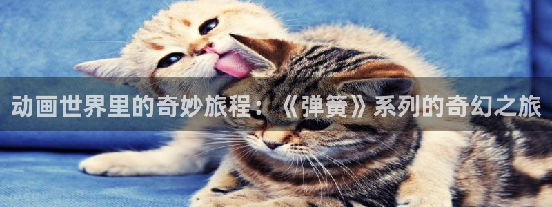 风车动漫沧元图