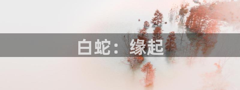 风车动漫(p)_在线观看