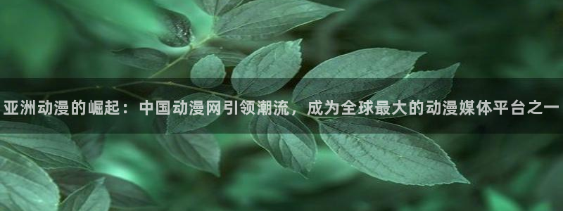 风车动漫灵笼