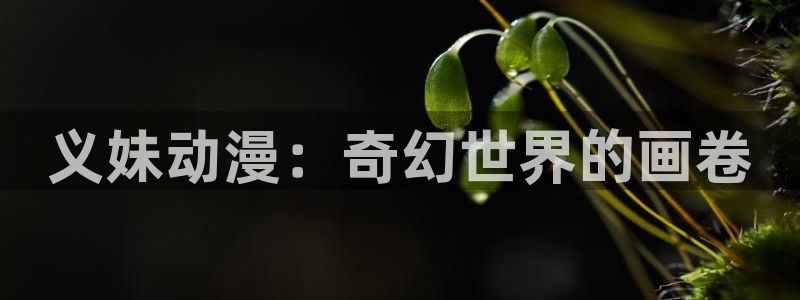 在哪下载风车动漫