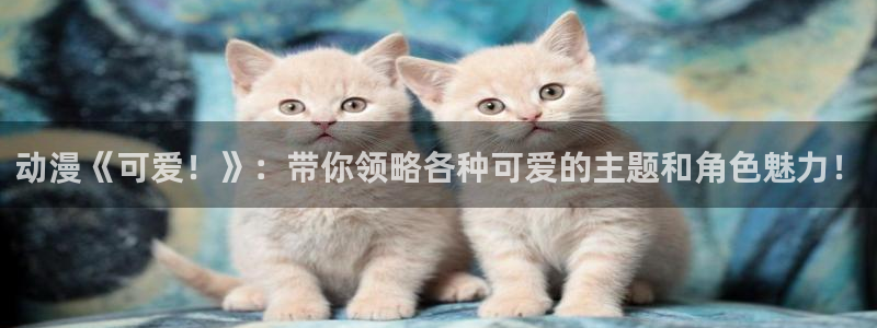 博人传风车动漫