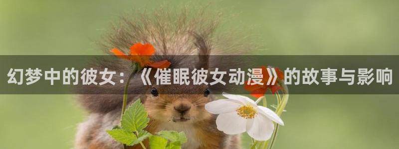 风车动漫官网官方入门网站