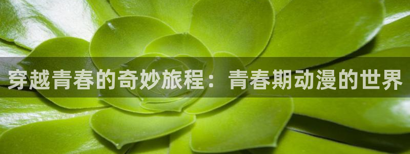 风车动漫网鬼父