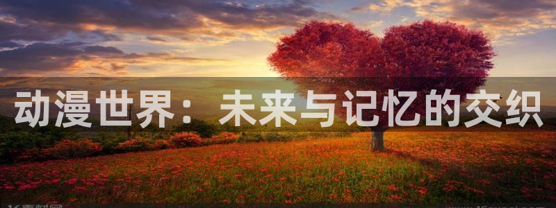 风车动漫dm