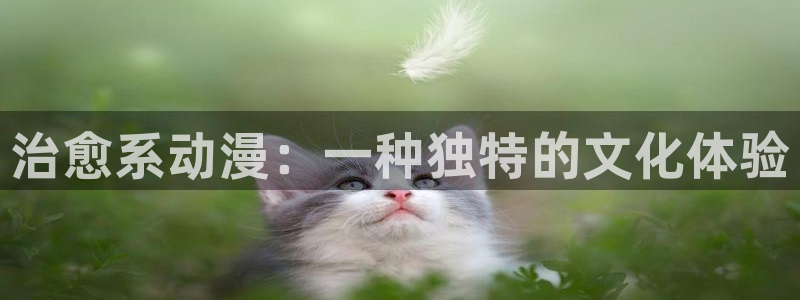 剑来风车动漫