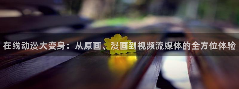 大风车动漫网官网