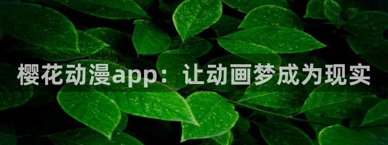 风车动漫dm350专注动漫的门户