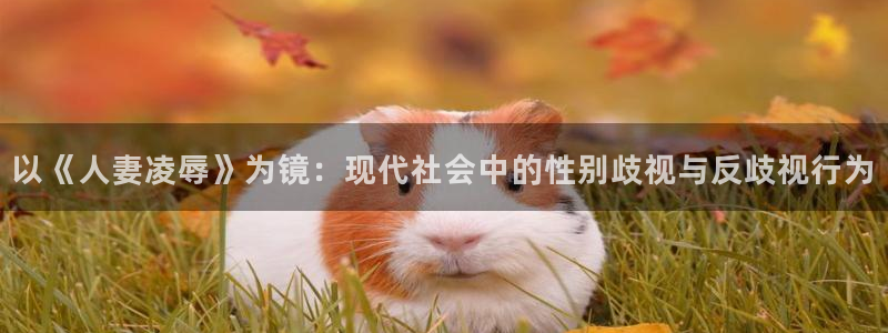 龙珠z风车动漫
