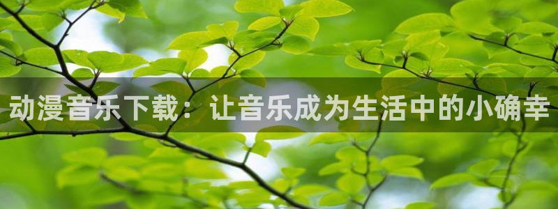 风车动漫番剧
