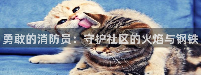 风车动漫(p)-专注动漫的门户