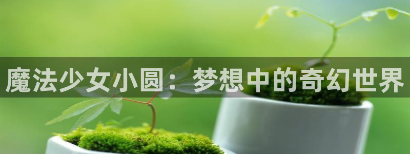 从天而降的女子风车动漫