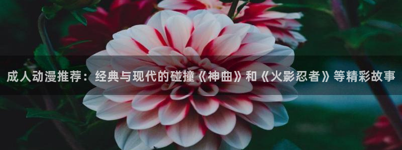 龙珠风车动漫
