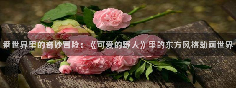 风车动漫网页官网