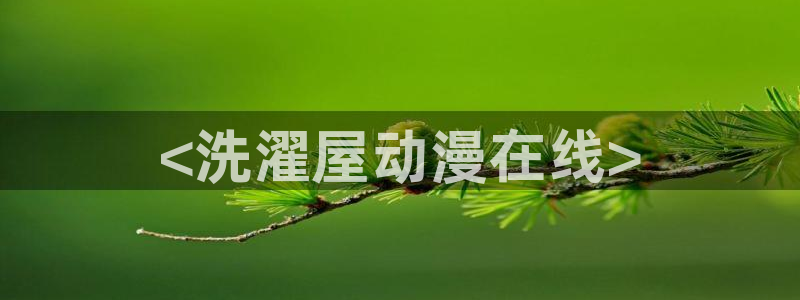 风车动漫官网(p)