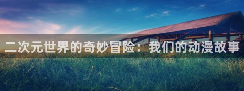 风车动漫网dm530
