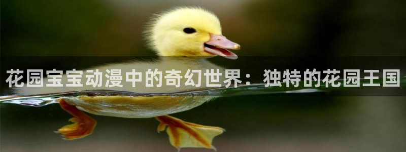 少年女仆库洛风车动漫