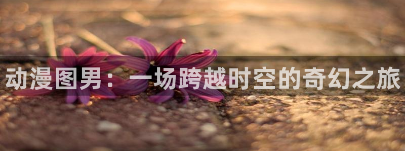 风车动漫门户网站
