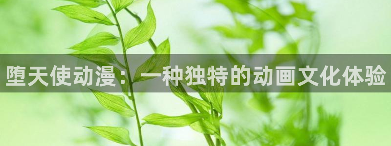 风车动漫官网动漫在线观看：堕天使动漫：一种独特的动画文化体验