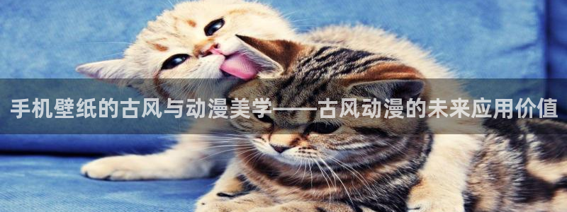 风车动漫网站官网新版
