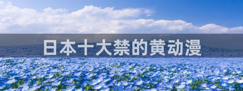 风车动漫高清在线播放：日本十大禁的黄动漫