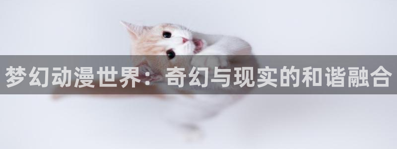 风车动漫动漫网在线观看