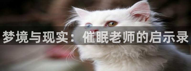 风车动漫官网上