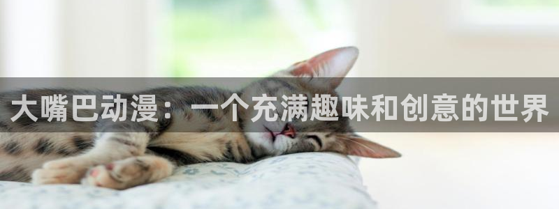 风车动漫网 官网