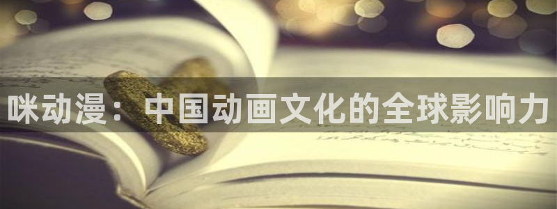 风车动漫版
