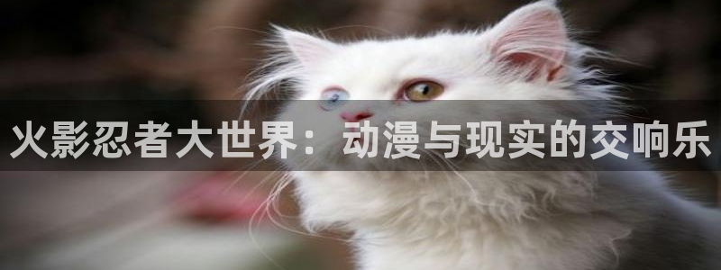 樱花风车动漫2024版