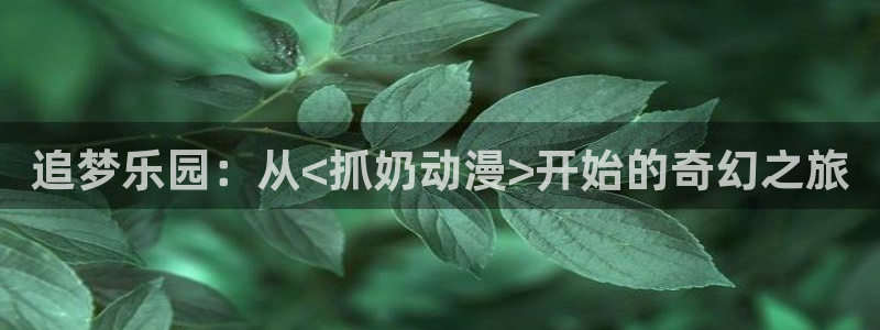 龙珠z风车动漫：追梦乐园：从<抓奶动漫>开始的奇幻之旅