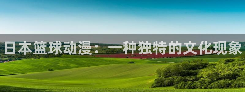风车动漫高清在线播放：日本篮球动漫：一种独特的文化现象