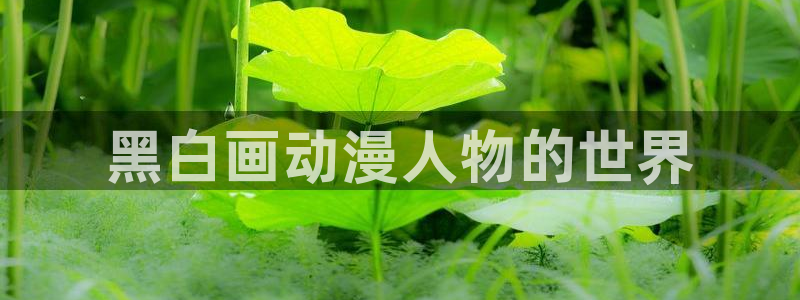风车动漫最新动漫在线观看：黑白画动漫人物的世界