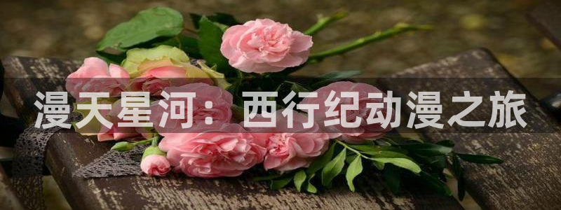 风车动漫壁纸：漫天星河：西行纪动漫之旅